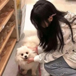 太极熊猫1手游下载
